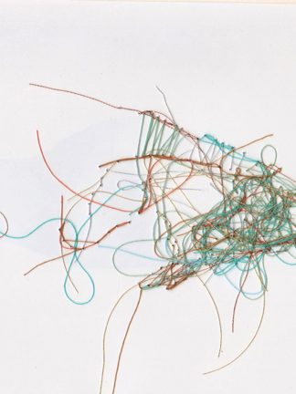 poisson09-2017-carre