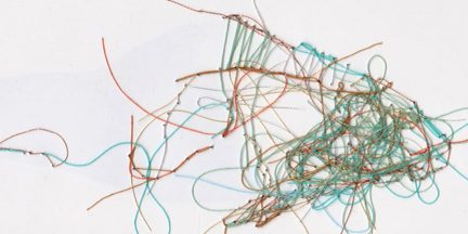 poisson09-2017-carre